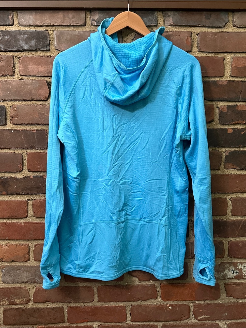 Patagonia Sky Blue Hooded Pullover polartec
